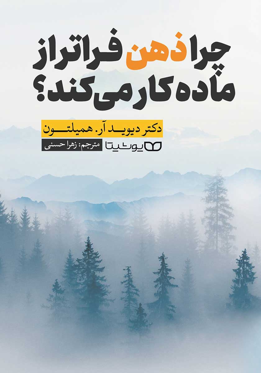 کتاب چرا ذهن فراتر از ماده کار می کند